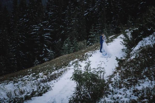 Bella sposa e sposo in inverno neve sulla montagna — Foto Stock