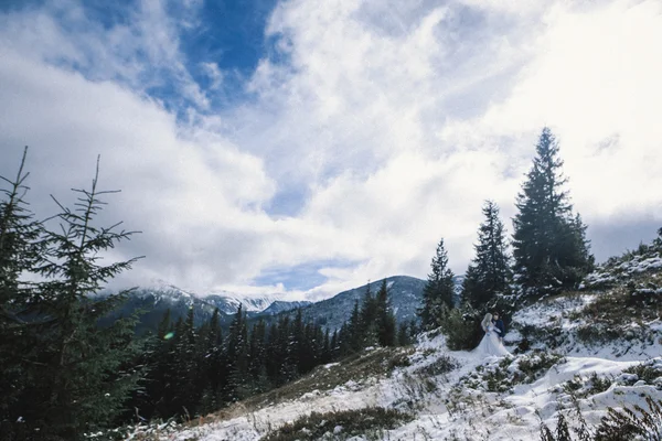 Lovely bride and groom in winter snow on mountain — Stock Photo, Image