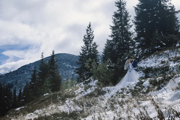 Güzel gelin ve damat Dağı'nda kış karda — Stok fotoğraf