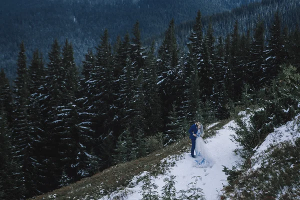 Ihana morsian ja sulhanen talvella lumi vuorella — kuvapankkivalokuva