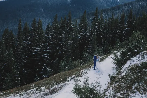 Preciosos novios en invierno nieve en la montaña — Foto de Stock