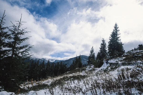 Linda noiva e noivo no inverno neve na montanha — Fotografia de Stock