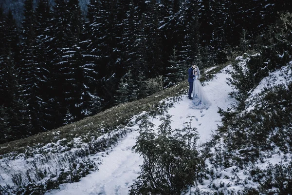 Ihana morsian ja sulhanen talvella lumi vuorella — kuvapankkivalokuva