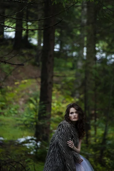Portret van romantische vrouw in mooie jurk in bos — Stockfoto