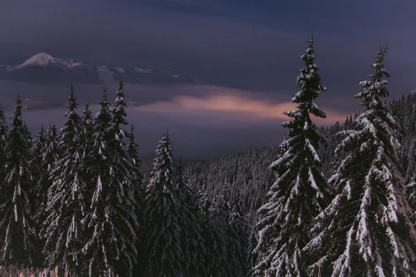 Noche sobre las montañas de invierno paisaje. Cárpatos, Ucrania —  Fotos de Stock