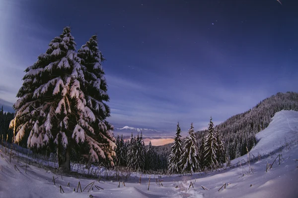 Noche sobre las montañas de invierno paisaje. Cárpatos, Ucrania —  Fotos de Stock