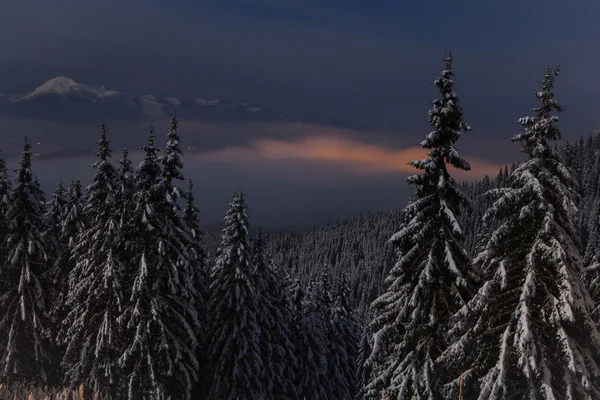 Gece dağlar manzara kış boyunca. Karpat, Ukrayna — Stok fotoğraf