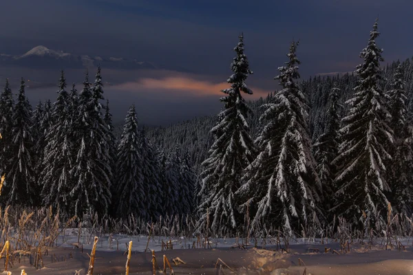 Noite sobre a paisagem de montanhas de inverno. Cárpatos, Ucrânia — Fotografia de Stock