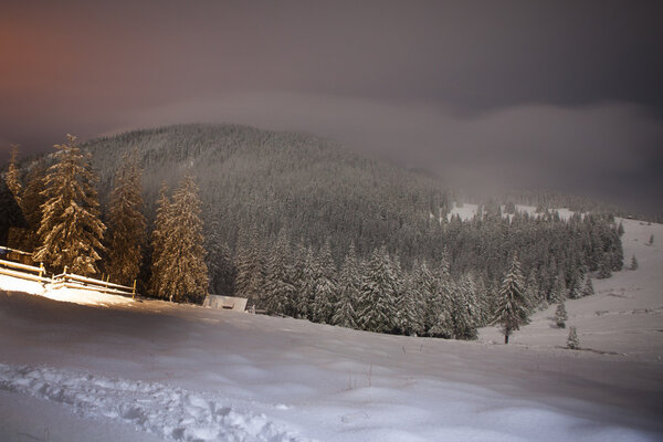 Wooden house in winter forest in Crrpathian mountains