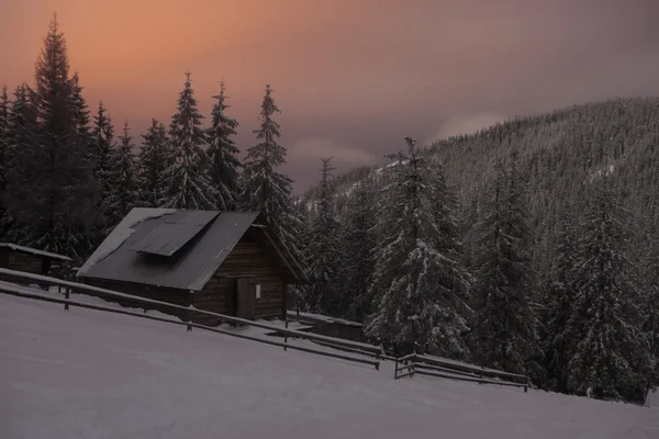 Wooden house in winter forest in Crrpathian mountains