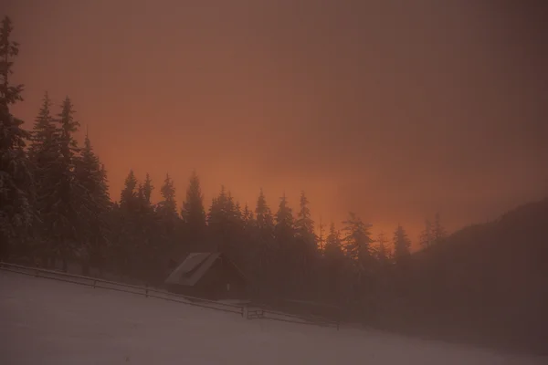 Trähus i vinter skog i Crrpathian berg — Stockfoto