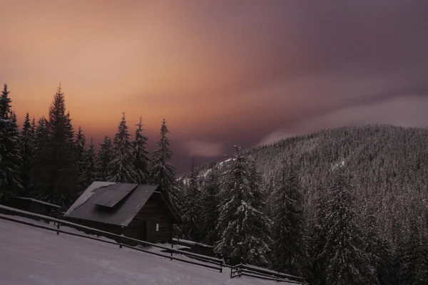 Maison en bois dans la forêt d'hiver dans les montagnes de Crrpathie — Photo