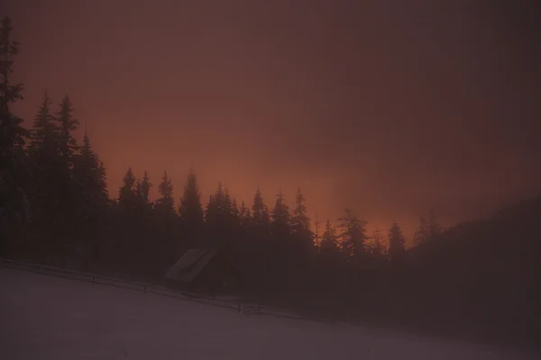 Casa de madera en el bosque de invierno en las montañas de Crrpathian —  Fotos de Stock