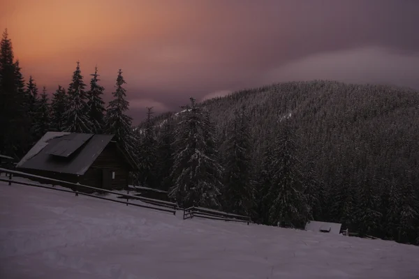 Wooden house in winter forest in Crrpathian mountains — Stock Photo, Image