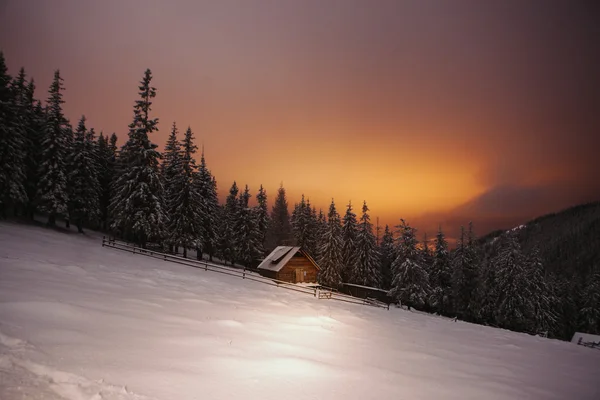 Wooden house in winter forest in Crrpathian mountains — Stock Photo, Image