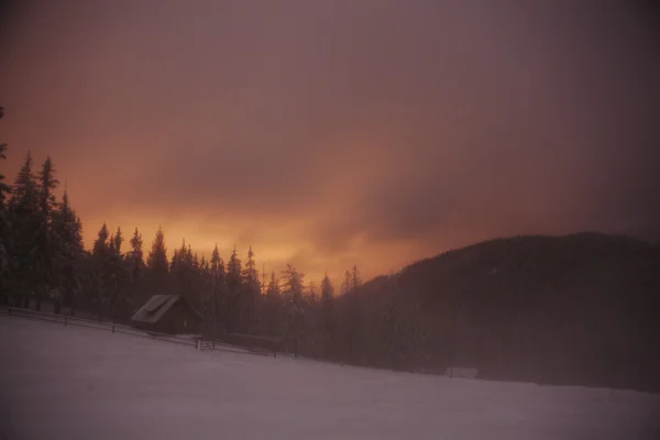 Casa de madera en el bosque de invierno en las montañas de Crrpathian —  Fotos de Stock