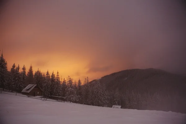 Casa de madeira na floresta de inverno em montanhas Crrpathian — Fotografia de Stock