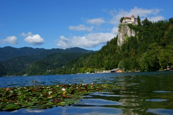 Lago di Bled — Fotografia de Stock