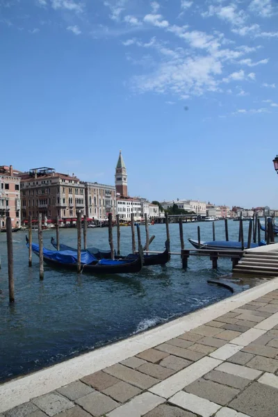 Βενετία Ιστορικά Κτίρια Διώρυγα Γκράντ Πλατεία Σαν Μάρκο Μια Γούρνα — Φωτογραφία Αρχείου