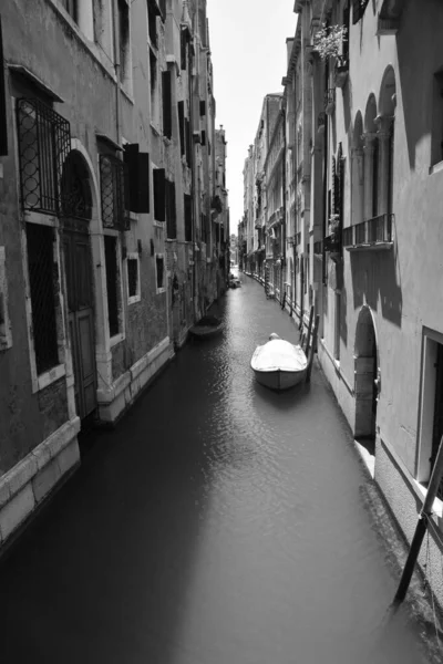 Venedik Tarihi Binalar Büyük Kanal San Marco Meydanı Yürüyen Bir — Stok fotoğraf