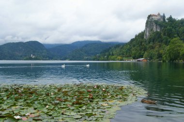 bled Gölü