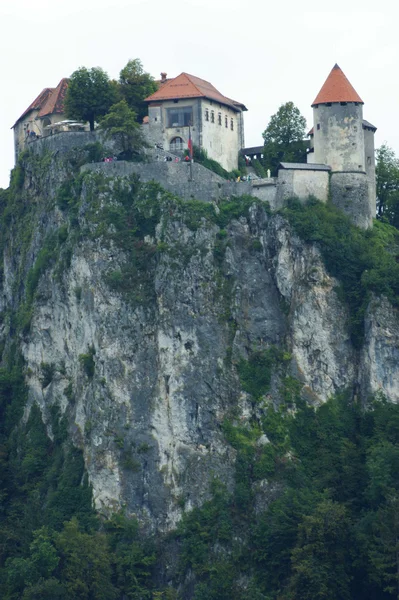 Bled Gölü — Stok fotoğraf