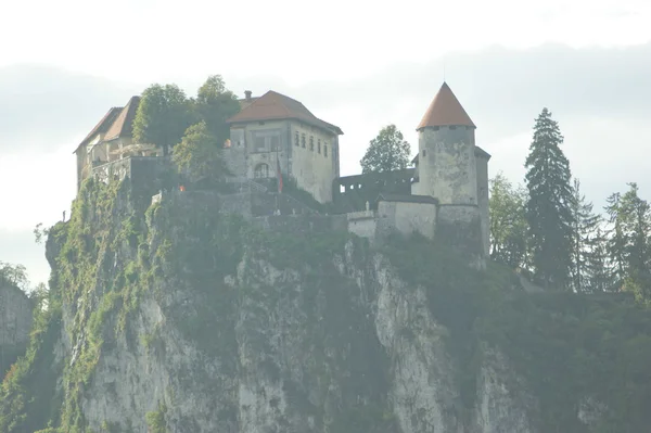 Bled Gölü — Stok fotoğraf