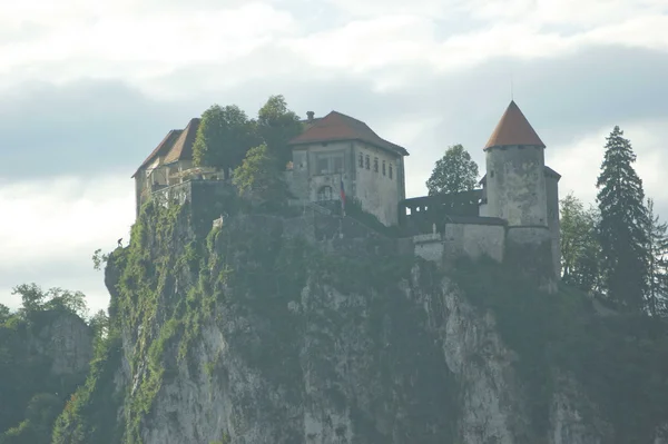 Bled Gölü — Stok fotoğraf