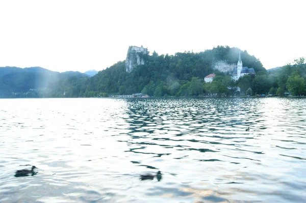 Lake of Bled — Stock Photo, Image