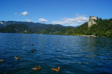 bled Gölü