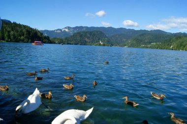 bled Gölü