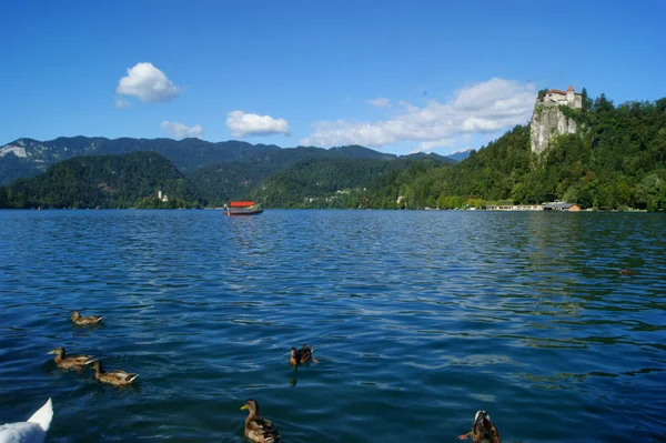 Lago de sangramento — Fotografia de Stock