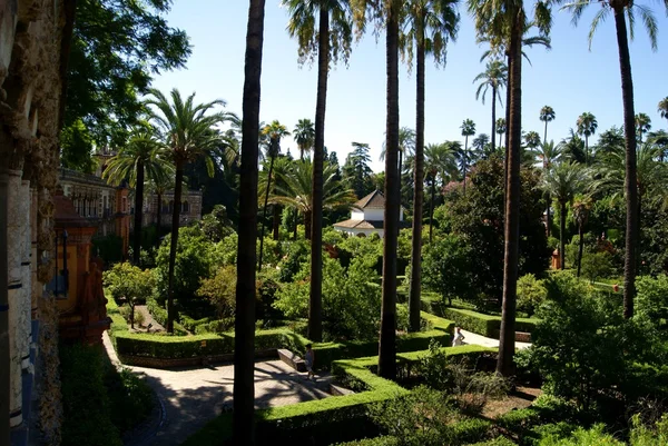 Sevilla Andalucia — Stock Photo, Image