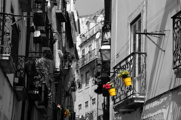 Velho Amoroso Lisboa — Fotografia de Stock