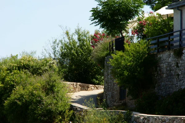 Cres renklerde