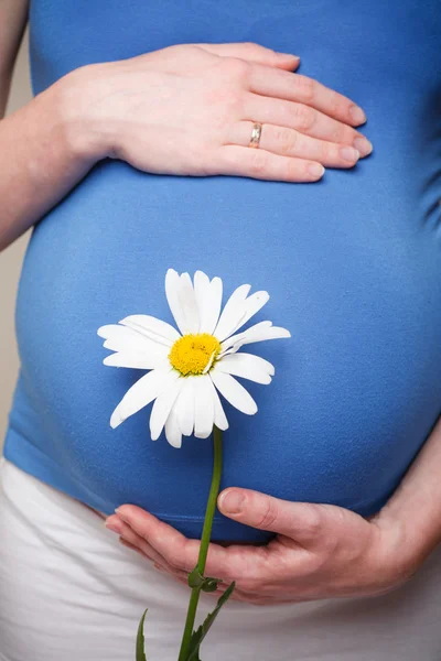 Έγκυος γυναίκα που κρατά την κοιλιά της και λουλούδι. — Φωτογραφία Αρχείου