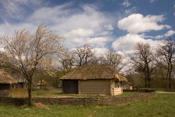 Ancienne cabane ukrainienne traditionnelle — Photo