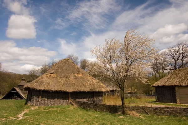 Ancienne cabane ukrainienne traditionnelle — Photo