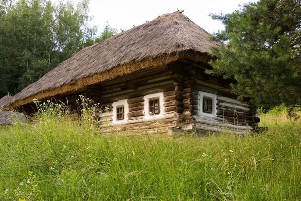 Authentique maison de village ukrainienne . — Photo
