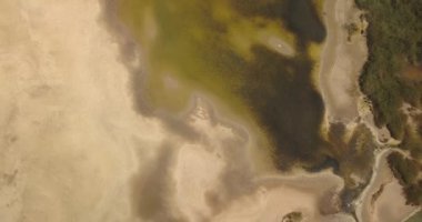 Karadeniz kıyısındaki Tuzly Estuary Ulusal Doğa Parkı, Ukrayna