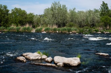 Granit dağlar ve akıntılar güney böcek nehrinde, ağaçlar ve otlarla çevrili, Mihiia köyü. Ukrayna. Rafting ve kano yapmak için ünlü bir yer.