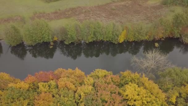 Ukrayna Nın Chernihiv Bölgesindeki Sednev Köyü Yakınlarında Sonbaharda Snov Nehrinin — Stok video