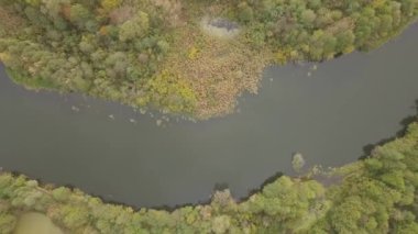 Ukrayna 'nın Chernihiv bölgesindeki Sednev köyü yakınlarında sonbaharda Snov nehrinin havadan görünüşü.