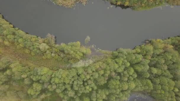 Pemandangan Udara Sungai Snov Musim Gugur Dekat Desa Sednev Chernihiv — Stok Video