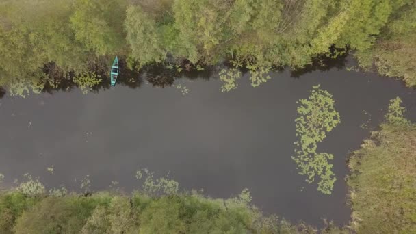 Pemandangan Udara Sungai Snov Musim Gugur Dekat Desa Sednev Chernihiv — Stok Video