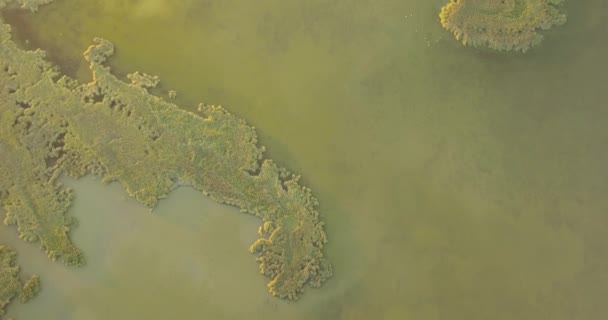 Vista Aérea Del Parque Nacional Naturaleza Del Estuario Tuzly Cerca — Vídeo de stock