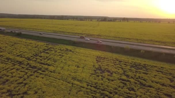 Colorido Cultivo Amarillo Primaveral Canola Colza Colza Visto Desde Arriba — Vídeos de Stock