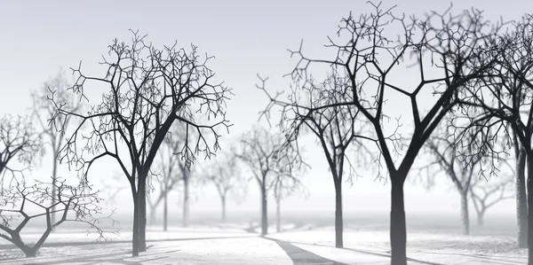 투명 한 겨울 공기 로열티 프리 스톡 사진