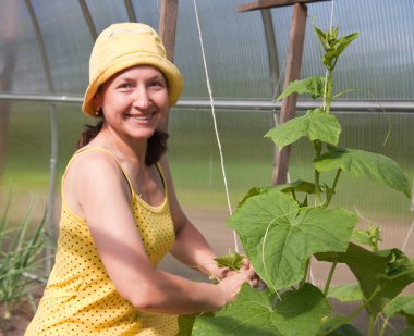 Gülümseyen mutlu kadın serada bahçıvanlık yapıyor