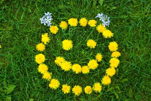 smiley face  of yellow dandelions at summer day